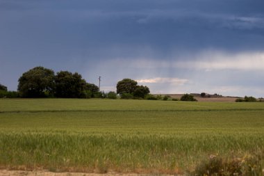 Paisaje doğal con cielo