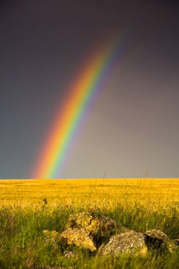 Paisaje doğal con arco iris