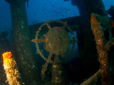 Barco hundido boreas en la costa brava