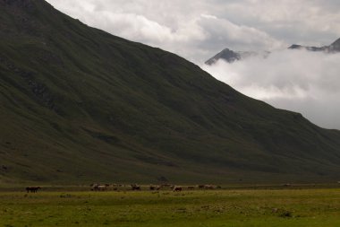 İspanya 'da mavi gökyüzü olan doğal manzara