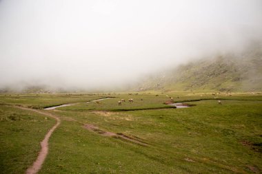 İspanya 'da mavi gökyüzü olan doğal manzara