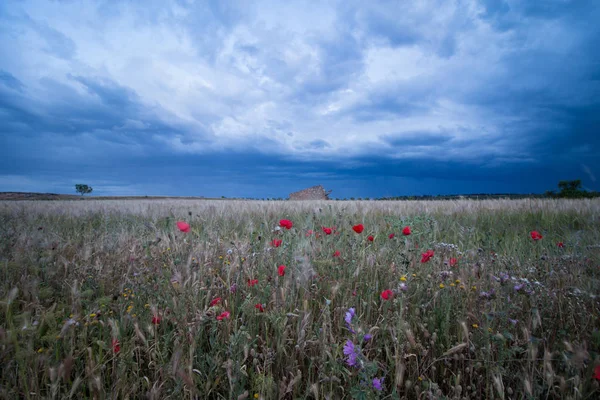 Campo Bolas Con Cielo Azul — Foto de Stock