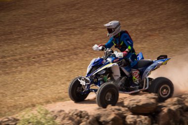 Baja aragonunda dörtlü rekabet