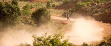 Baja aragonunda dörtlü rekabet