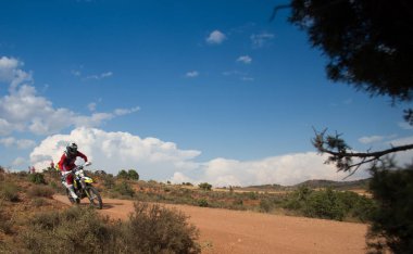 Baja aragonunda dörtlü rekabet