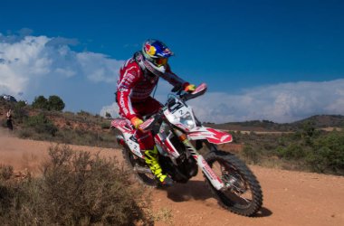 Baja aragonunda dörtlü rekabet