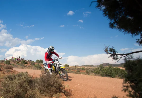 Baja Aragonunda Dörtlü Rekabet — Stok fotoğraf