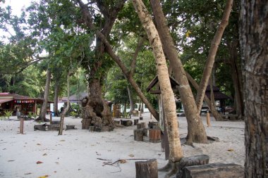 plaj kayalar ve gökyüzü fotoğraf efektleri ile