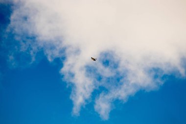 mavi gökyüzü ile uçan kartal