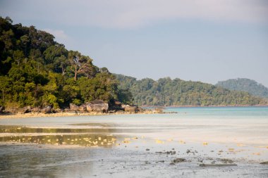 plaj kayalar ve gökyüzü