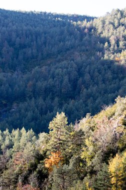 dağlar ve mavi gökyüzü manzara