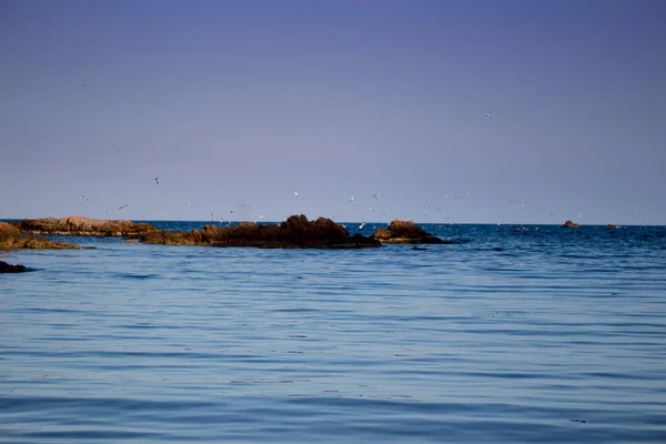 Plage Avec Rochers Ciel Avec Effets Photographie — Photo