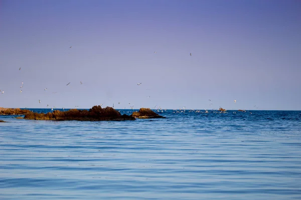 Plage Avec Rochers Ciel Avec Effets Photographie — Photo