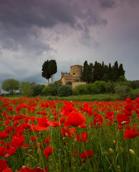 alan mavi gökyüzü ile topları