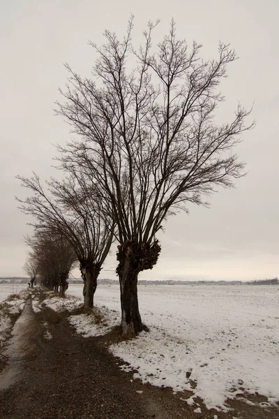 Landschap Met Sneeuw Blue Sky — Stockfoto