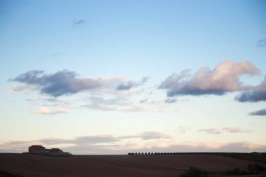 mavi gökyüzü ile bağ alanı