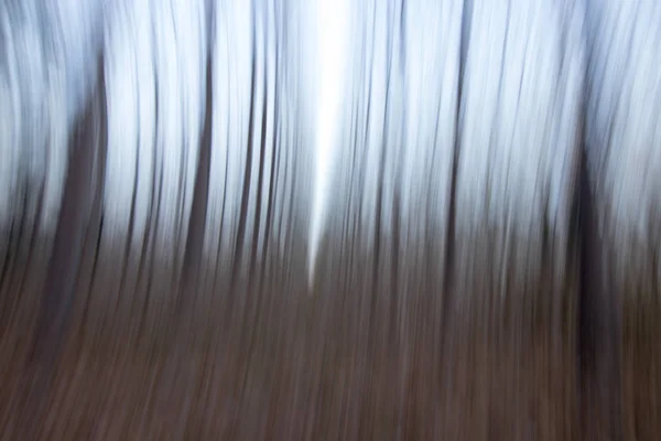 Spanya Sonbaharda Orman — Stok fotoğraf