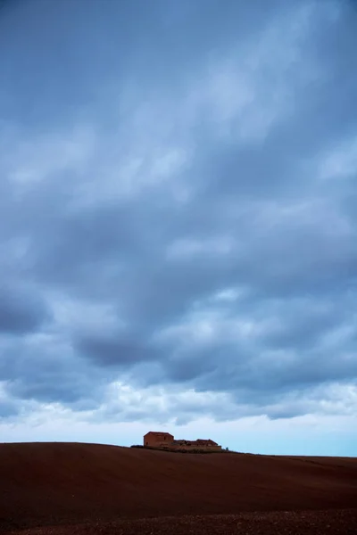 Wijngaard Veld Met Blauwe Lucht — Stockfoto