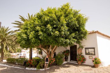 Tipik kasaba evleri ve sokakları ile