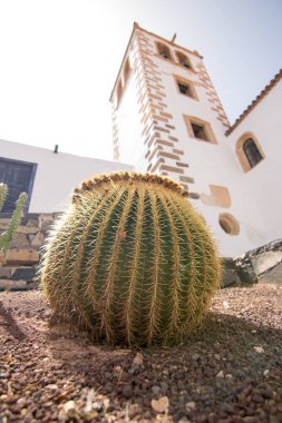 Tipik kasaba evleri ve sokakları ile