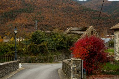 Tipik kasaba evleri ve sokakları ile