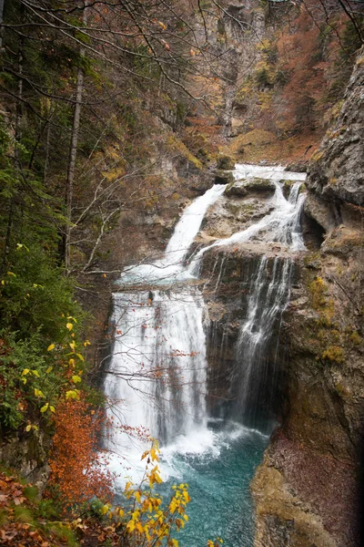 Rivier Natuur — Stockfoto