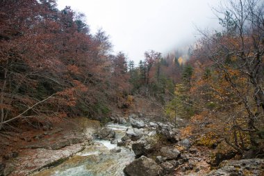 Doğal ortamda nehir