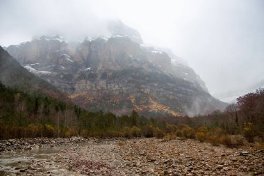 Doğal ortamda nehir