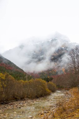 Doğal ortamda nehir