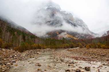 Doğal ortamda nehir