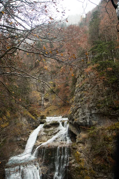 Rzeka Środowisku Naturalnym — Zdjęcie stockowe