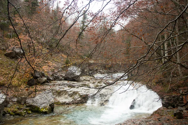 River Natural Environment — Stock Photo, Image