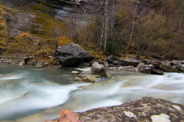 Rzeka Środowisku Naturalnym — Zdjęcie stockowe