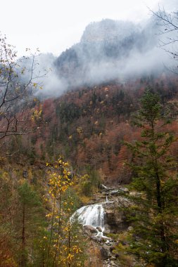 Doğa sonbahar manzara