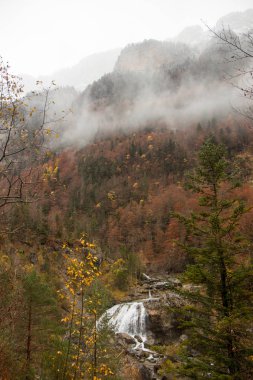 Doğa sonbahar manzara