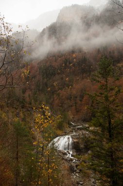 Doğa sonbahar manzara