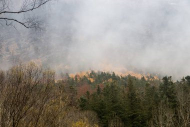 Doğa sonbahar manzara