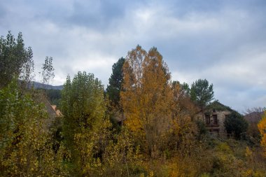 Doğa sonbahar manzara