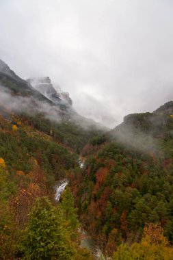 Doğa sonbahar manzara