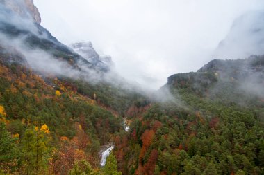 Doğa sonbahar manzara