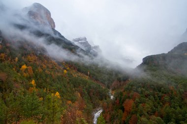 Doğa sonbahar manzara