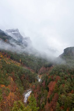 Doğa sonbahar manzara
