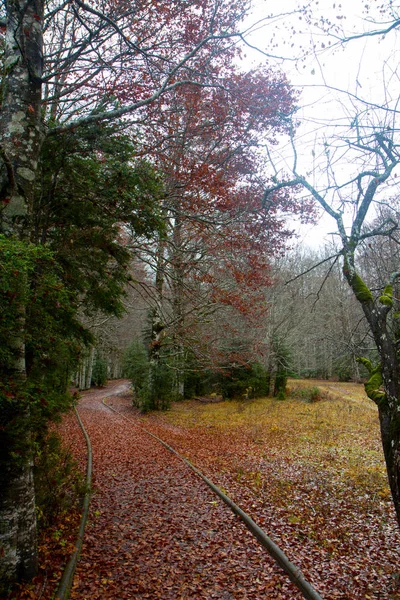 Autumnal Landscape Nature — Stock Photo, Image