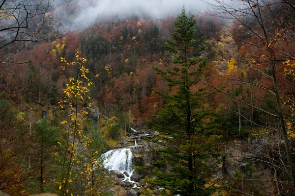 Jesienny Krajobraz Natura — Zdjęcie stockowe