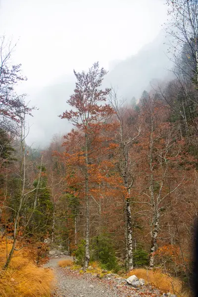 Podzimní Krajina Přírodě — Stock fotografie