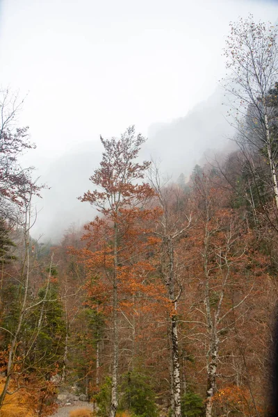 Podzimní Krajina Přírodě — Stock fotografie