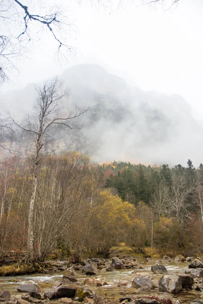 Herbstliche Landschaft Der Natur — Stockfoto