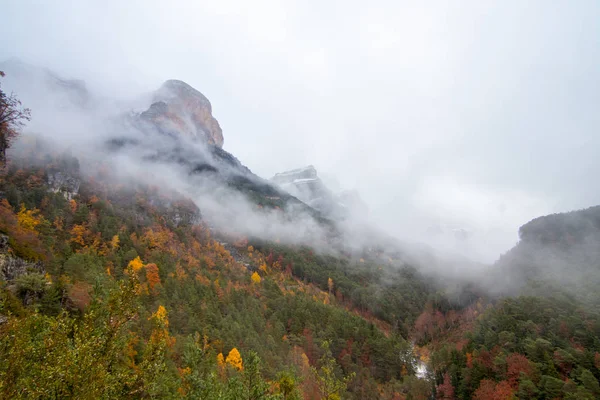 自然の中の秋の風景 — ストック写真