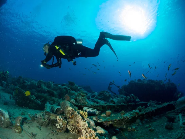 Zeebodem Met Onderwater Leven — Stockfoto