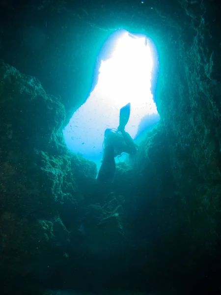 Fondo Marino Azul Costa Brava Con Corales Makró — Stock Fotó